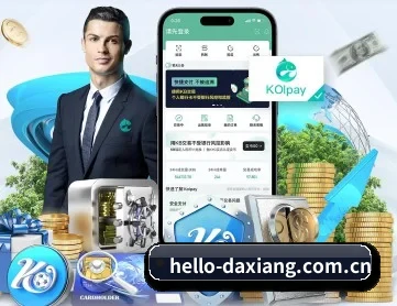 大象体育 APP 深度功能