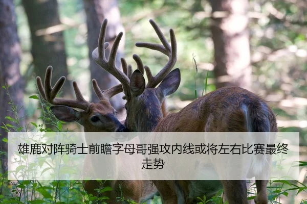 雄鹿对阵骑士前瞻字母哥强攻内线或将左右比赛最终走势